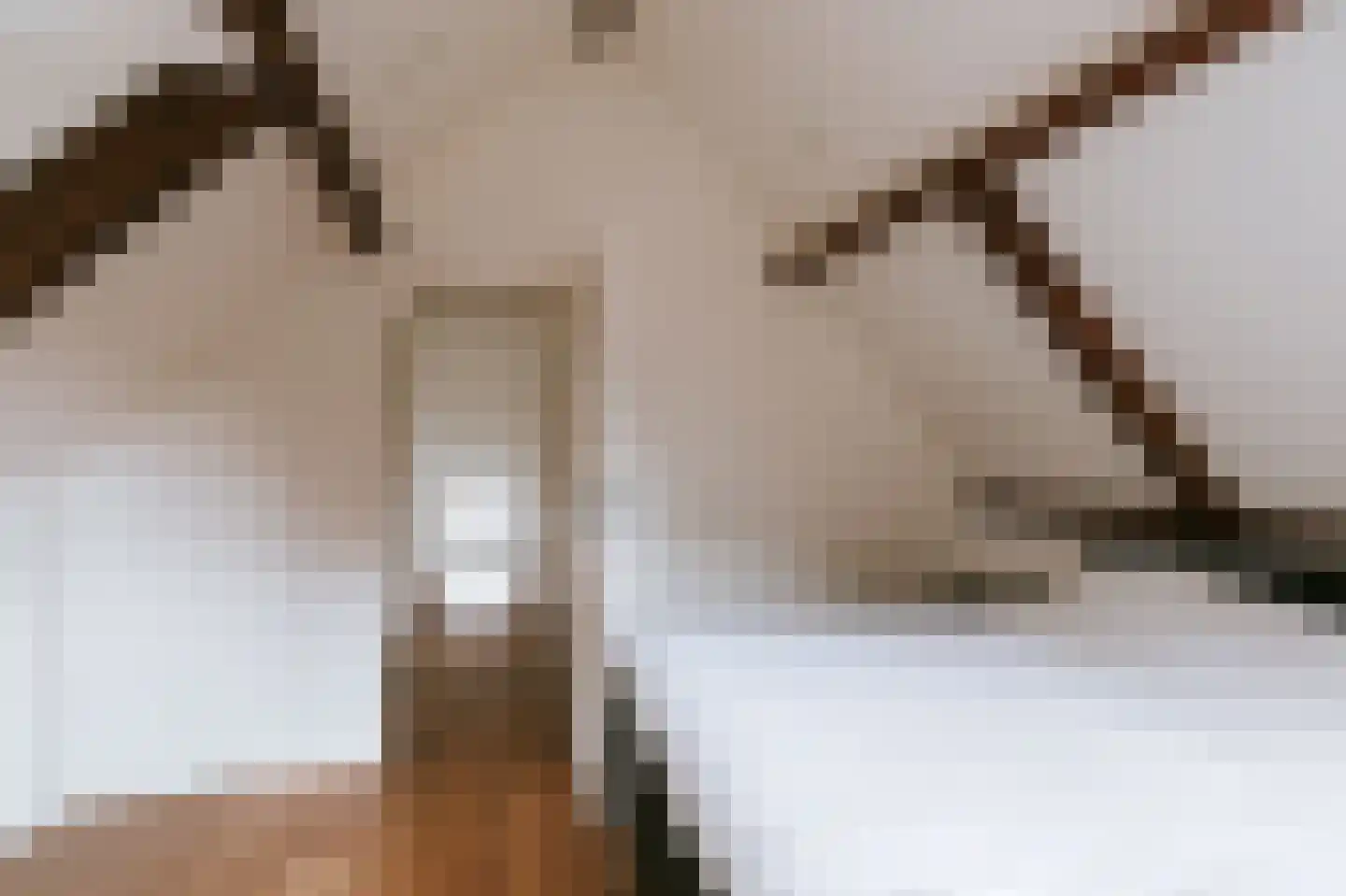 Bisschop van Hoensbroeckstraat 7 Roermond thumbnail 39