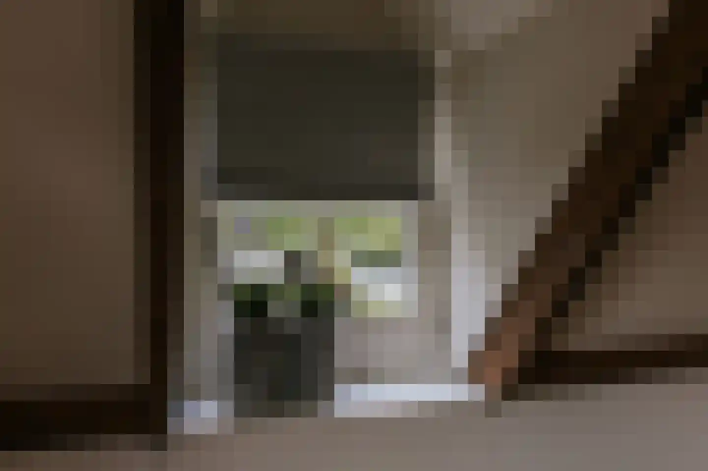 Bisschop van Hoensbroeckstraat 7 Roermond thumbnail 40
