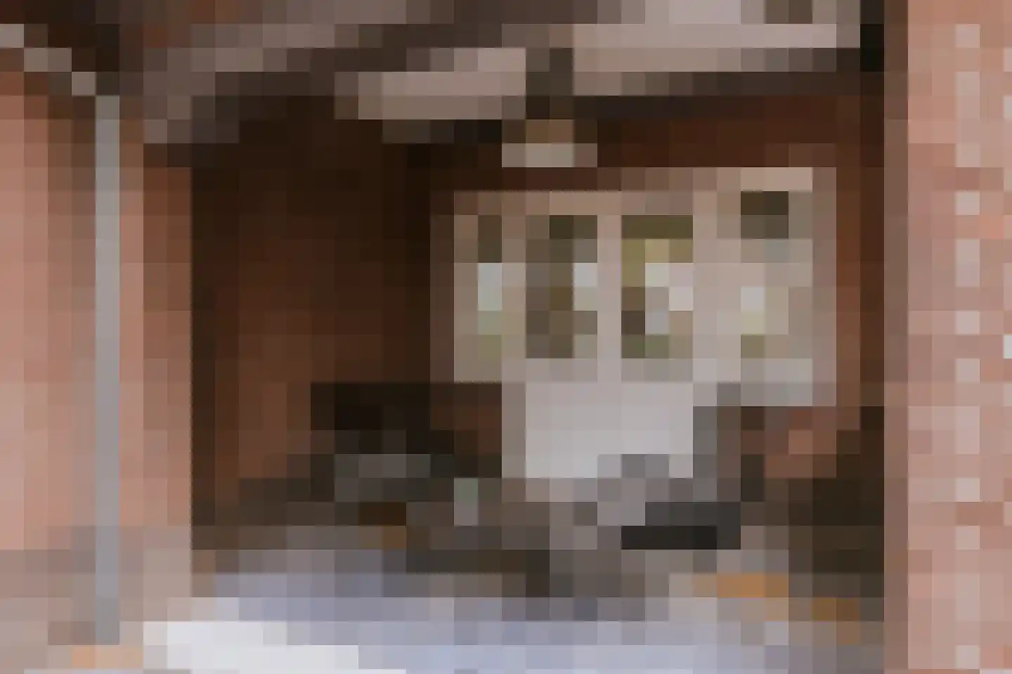 Bisschop van Hoensbroeckstraat 7 Roermond thumbnail 5