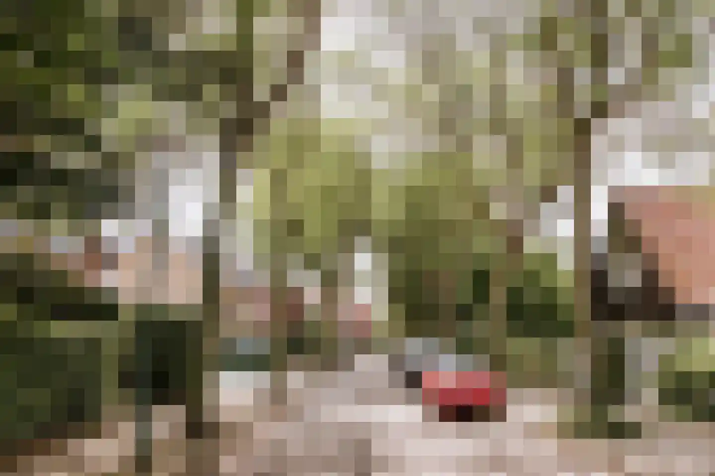 Bisschop van Hoensbroeckstraat 7 Roermond thumbnail 5