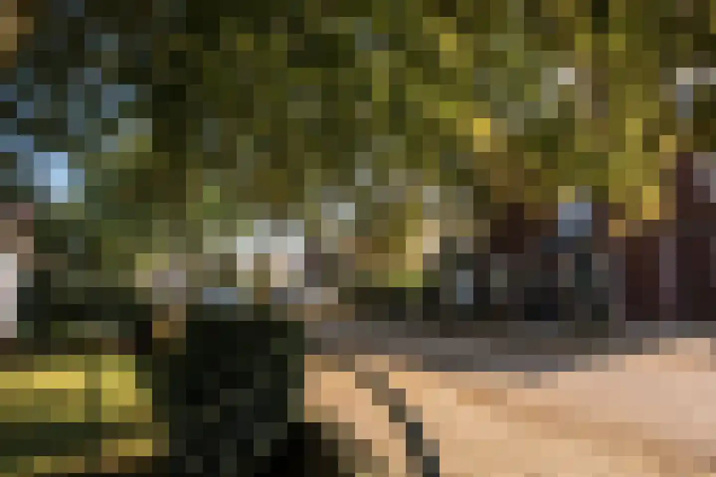 Bisschop van Hoensbroeckstraat 7 Roermond thumbnail 57