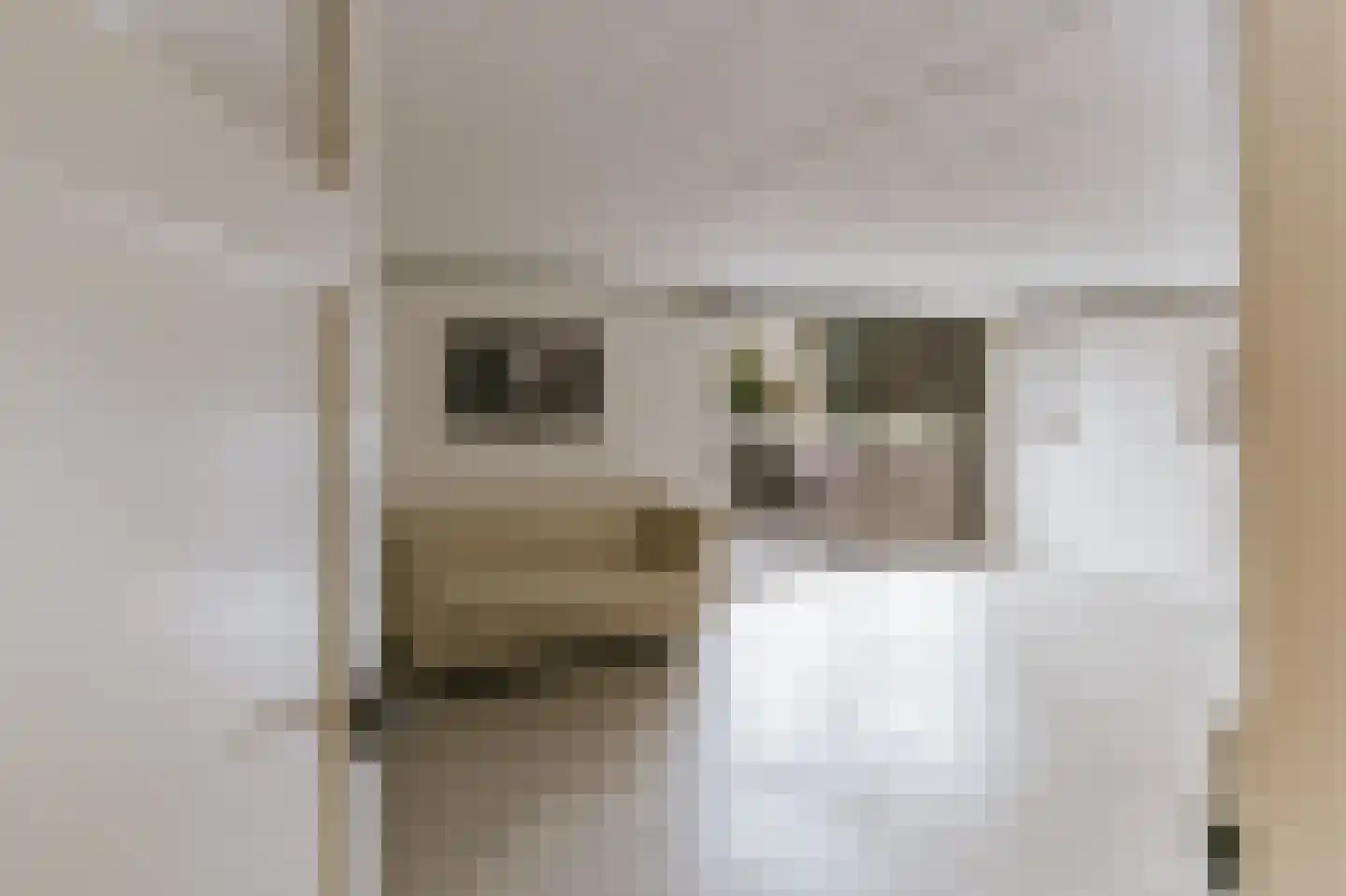 Bisschop van Hoensbroeckstraat 7 Roermond thumbnail 58