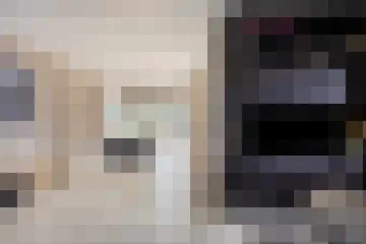 Bisschop van Mierlostraat 114 Mierlo thumbnail 10