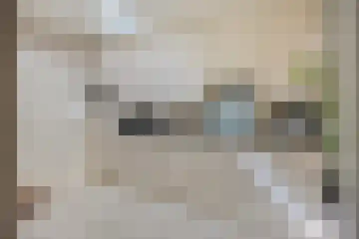 Bisschop van Mierlostraat 114 Mierlo thumbnail 14