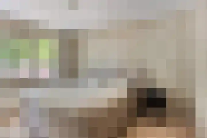 Bisschop van Mierlostraat 114 Mierlo thumbnail 23