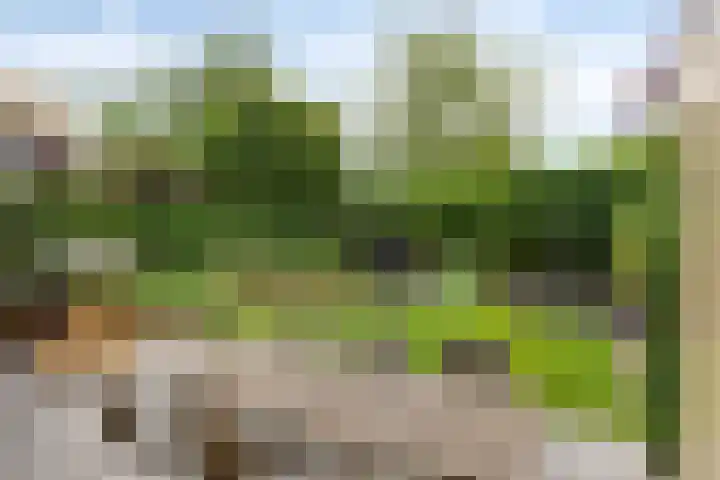 Bisschop van Mierlostraat 114 Mierlo thumbnail 32