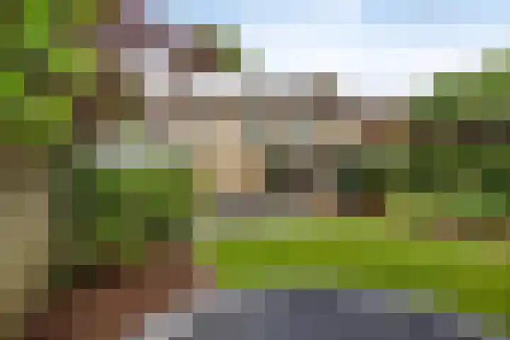 Bisschop van Mierlostraat 114 Mierlo thumbnail 4