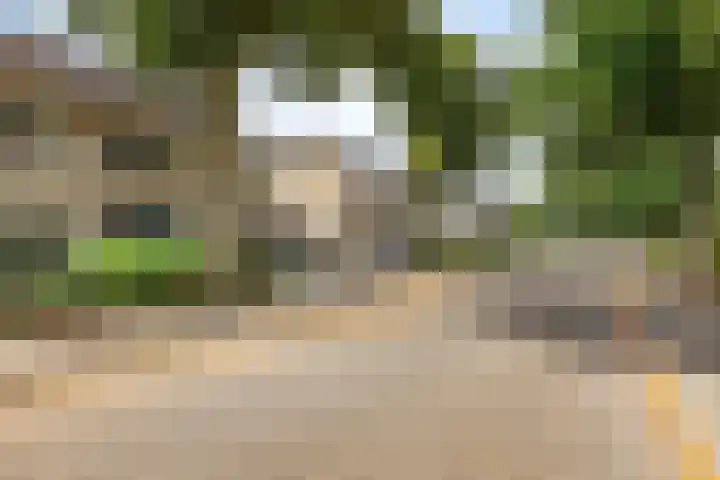 Bisschop van Mierlostraat 114 Mierlo thumbnail 5