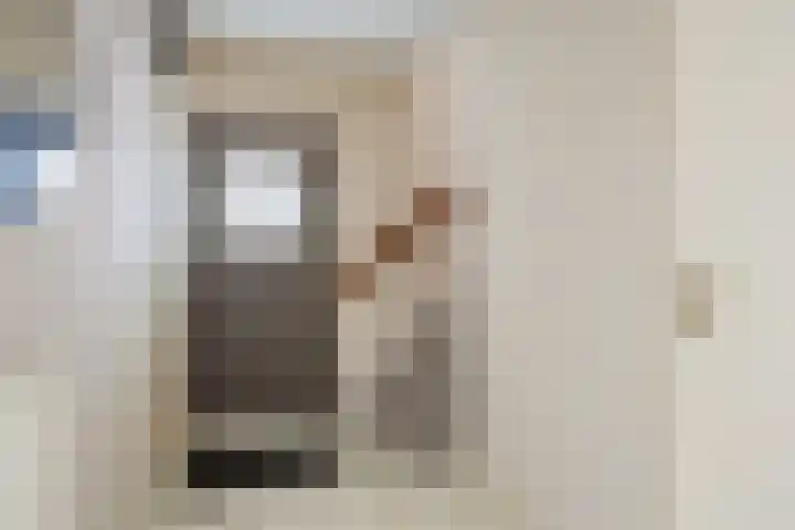 Bisschop van Mierlostraat 114 Mierlo thumbnail 6