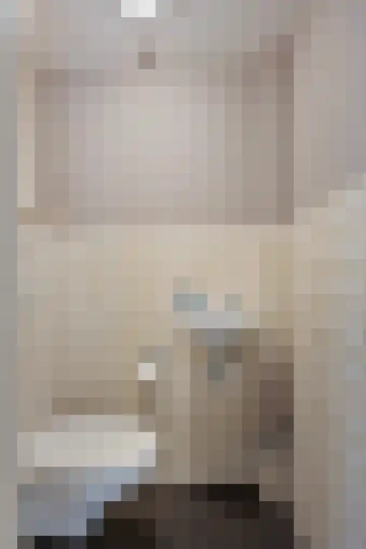 Bisschop van Mierlostraat 114 Mierlo thumbnail 7