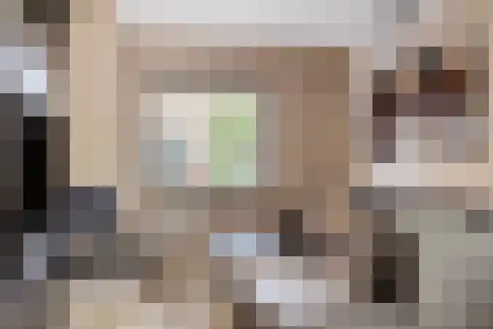 Bisschop van Mierlostraat 114 Mierlo thumbnail 8