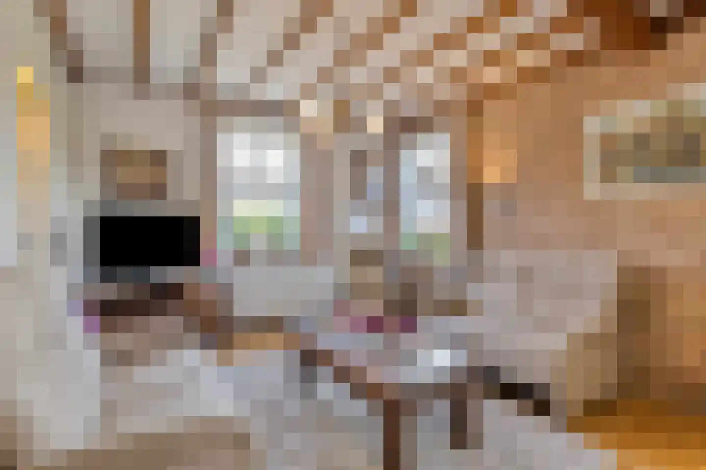 Bisschop van Mierlostraat 12 Mierlo thumbnail 12
