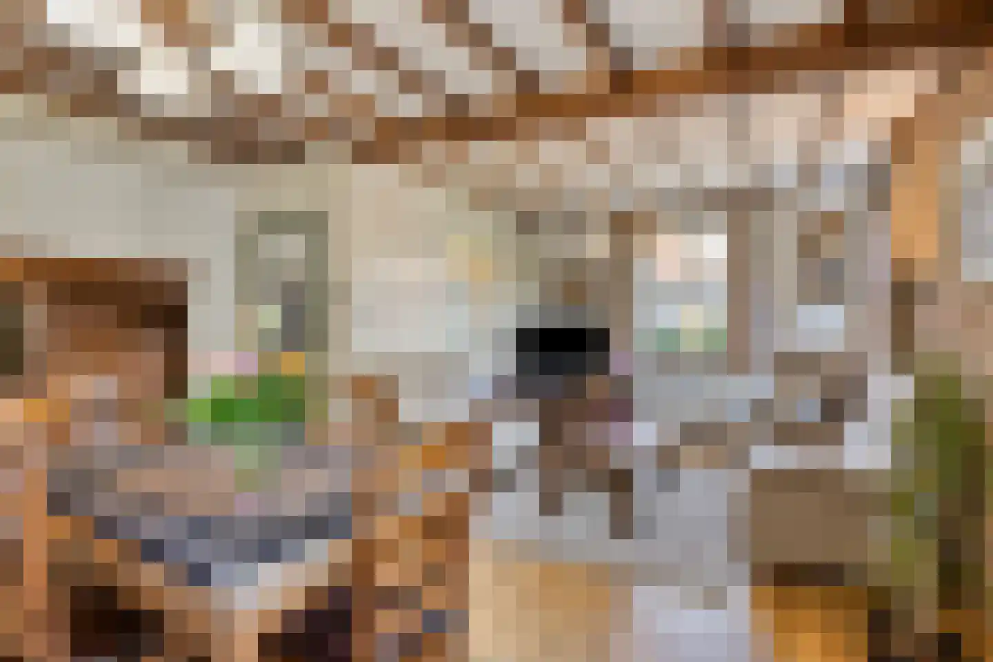 Bisschop van Mierlostraat 12 Mierlo thumbnail 13