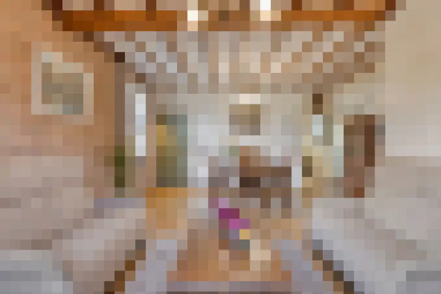 Bisschop van Mierlostraat 12 Mierlo thumbnail 14