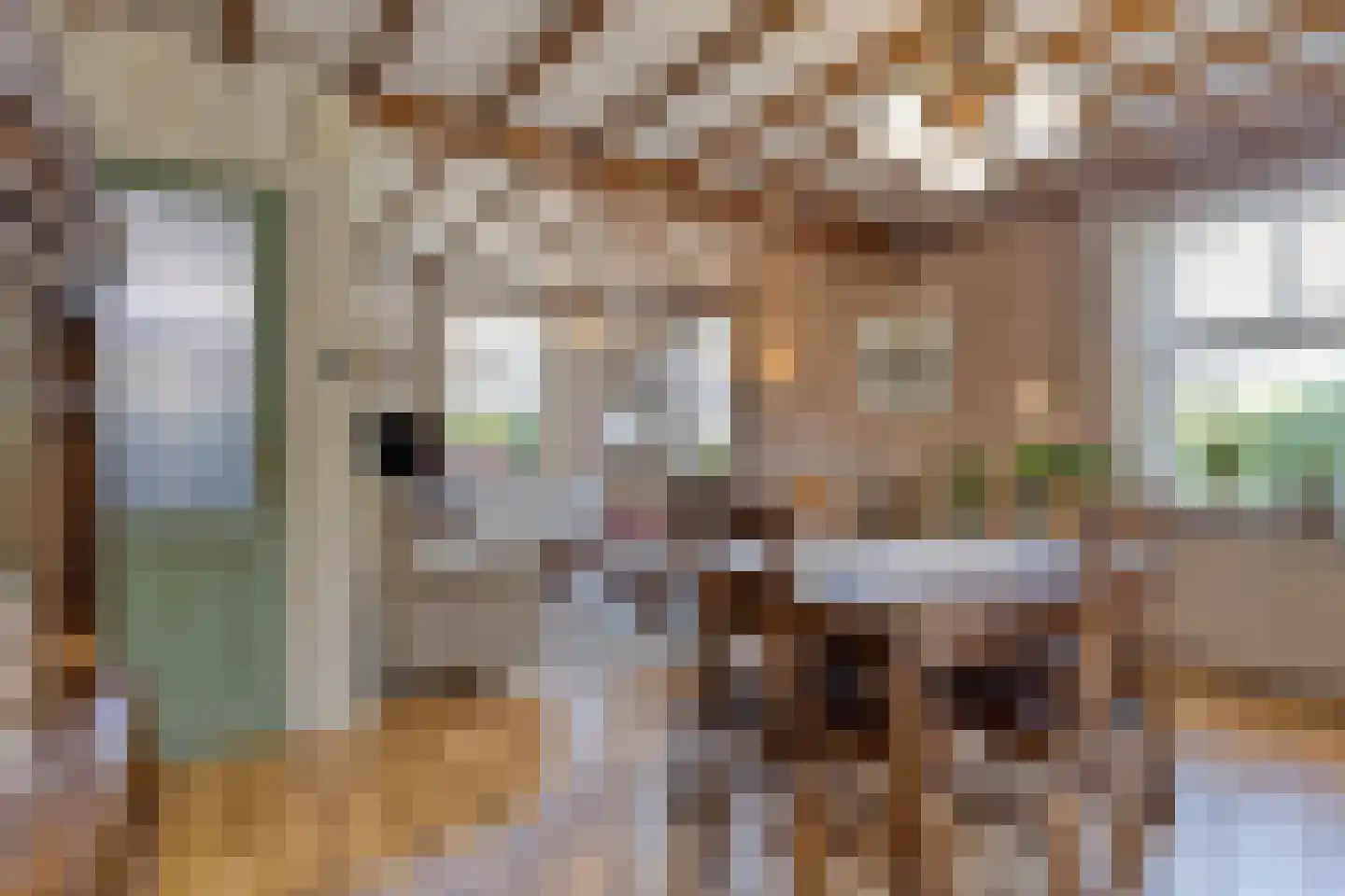 Bisschop van Mierlostraat 12 Mierlo thumbnail 15