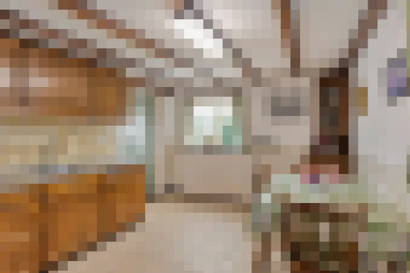 Bisschop van Mierlostraat 12 Mierlo thumbnail 17