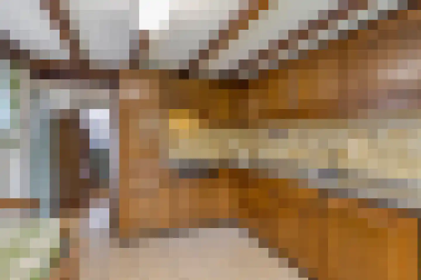 Bisschop van Mierlostraat 12 Mierlo thumbnail 18