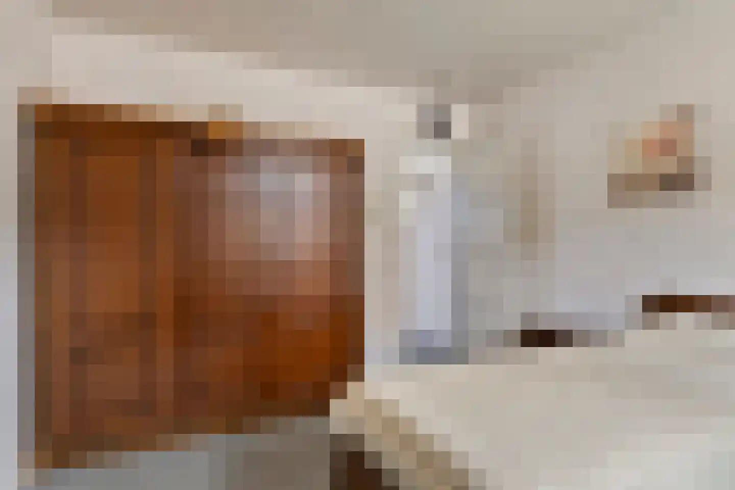 Bisschop van Mierlostraat 12 Mierlo thumbnail 21