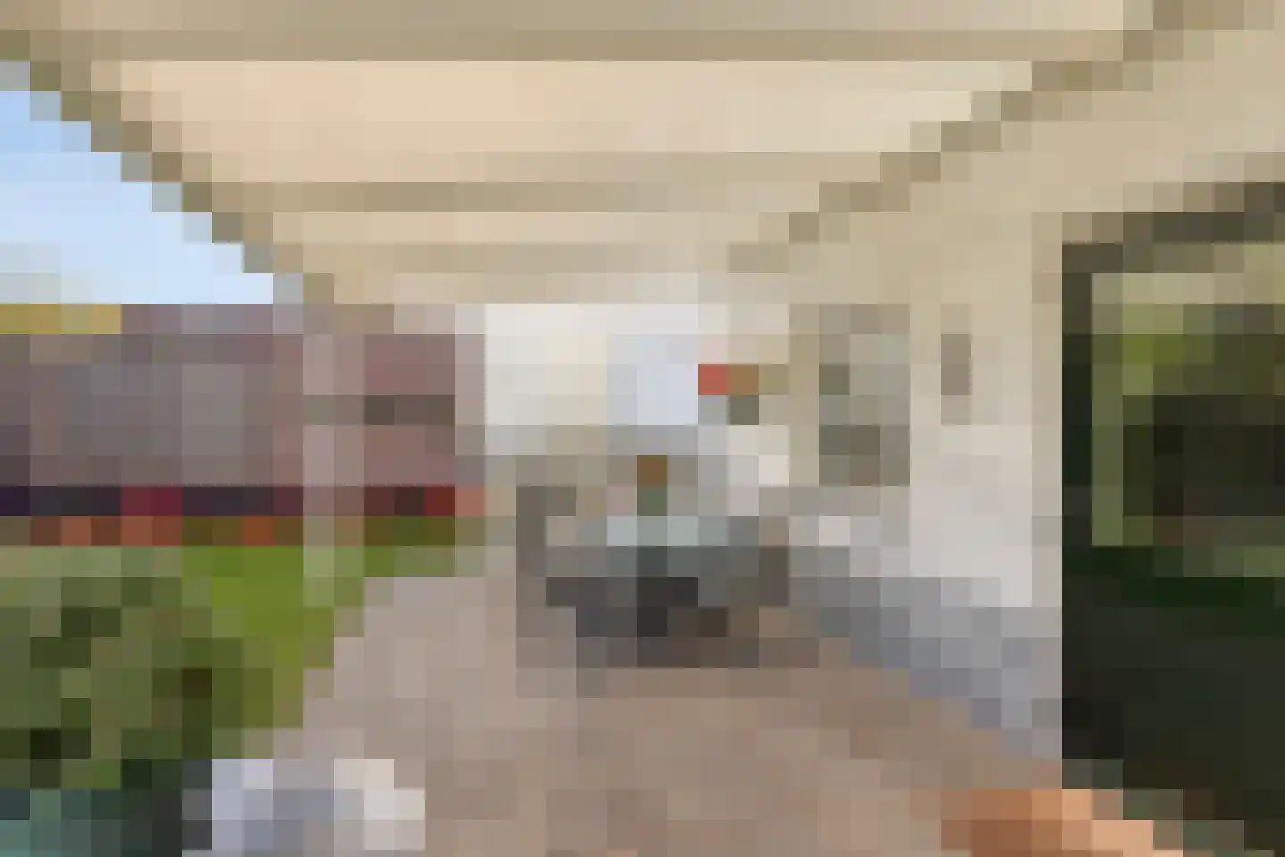 Bisschop van Mierlostraat 12 Mierlo thumbnail 31