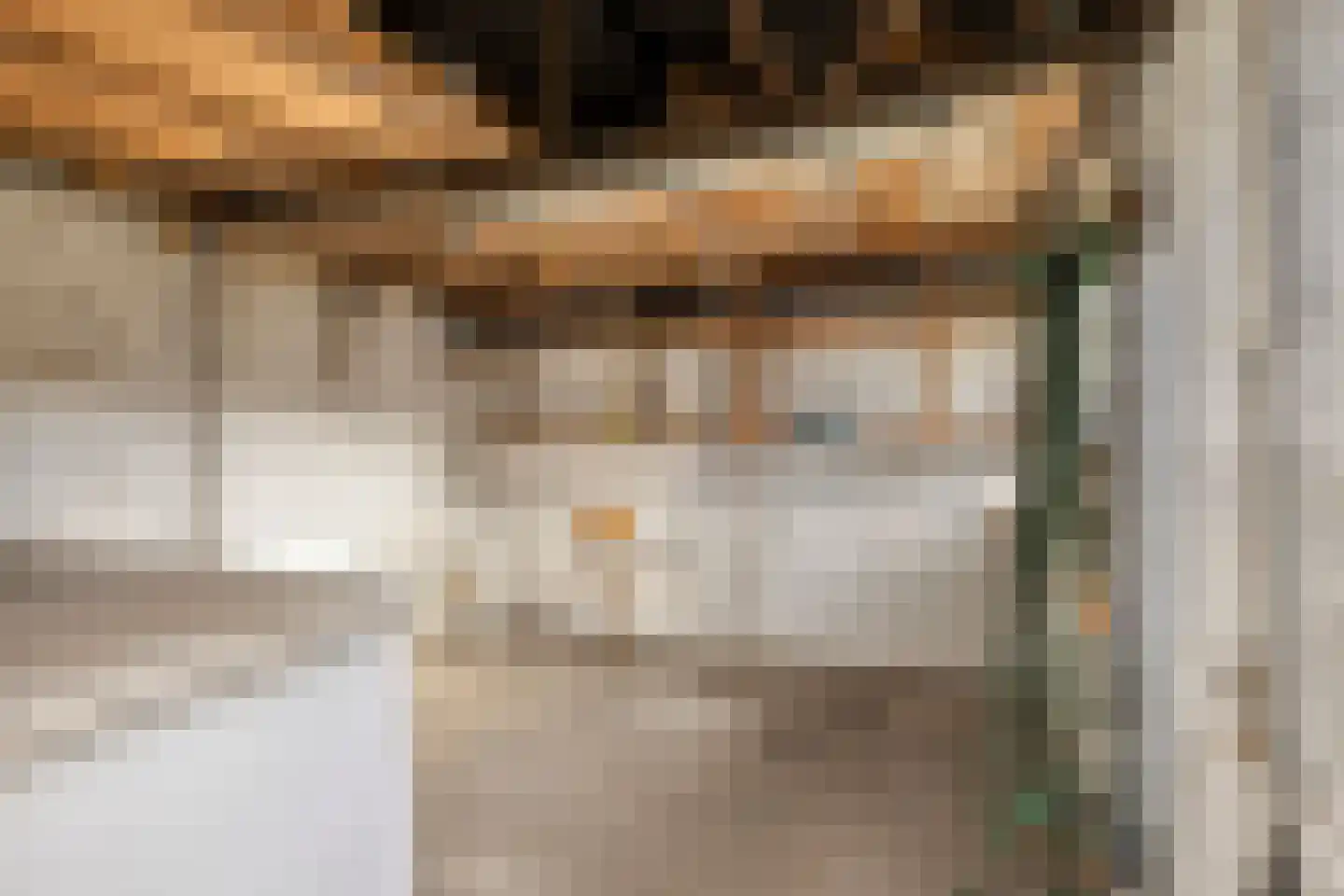 Bisschop van Mierlostraat 12 Mierlo thumbnail 41