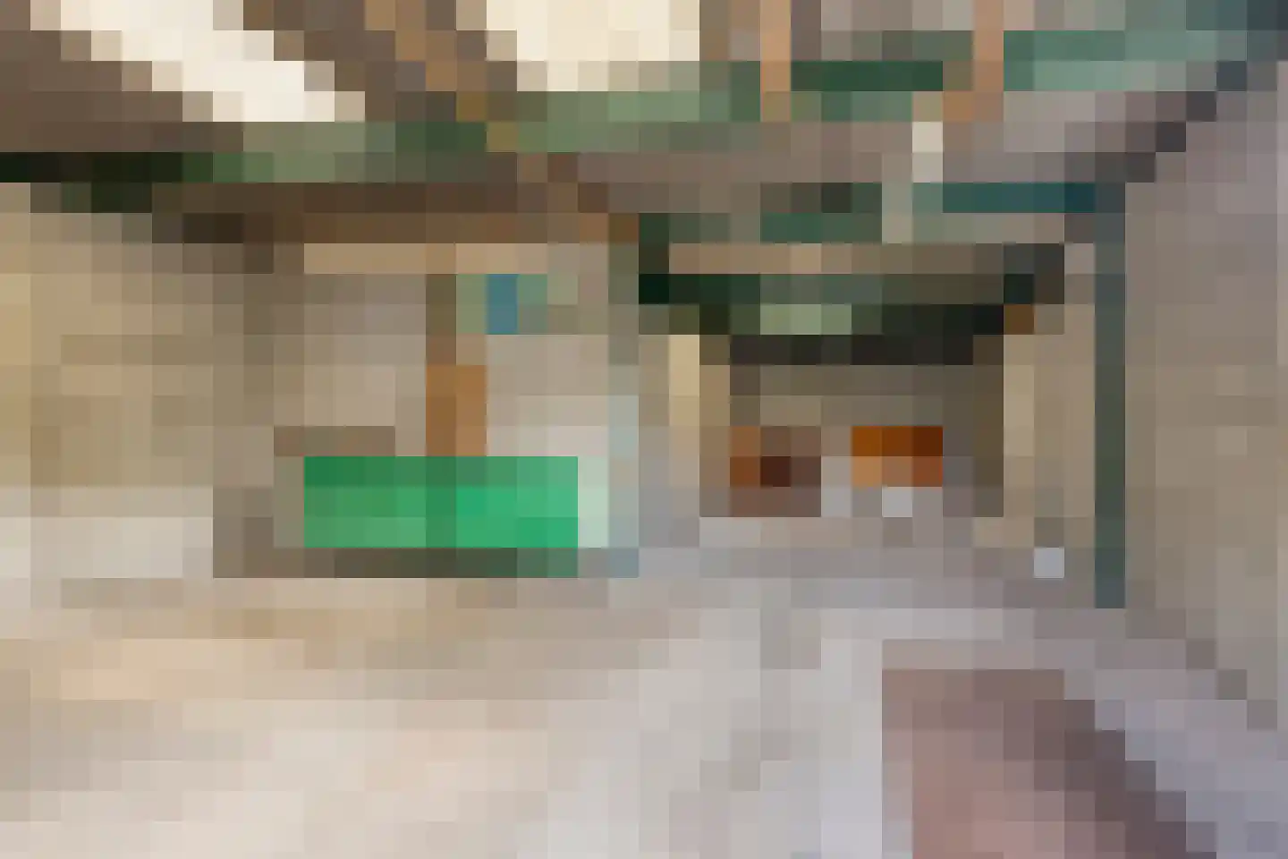 Bisschop van Mierlostraat 12 Mierlo thumbnail 42