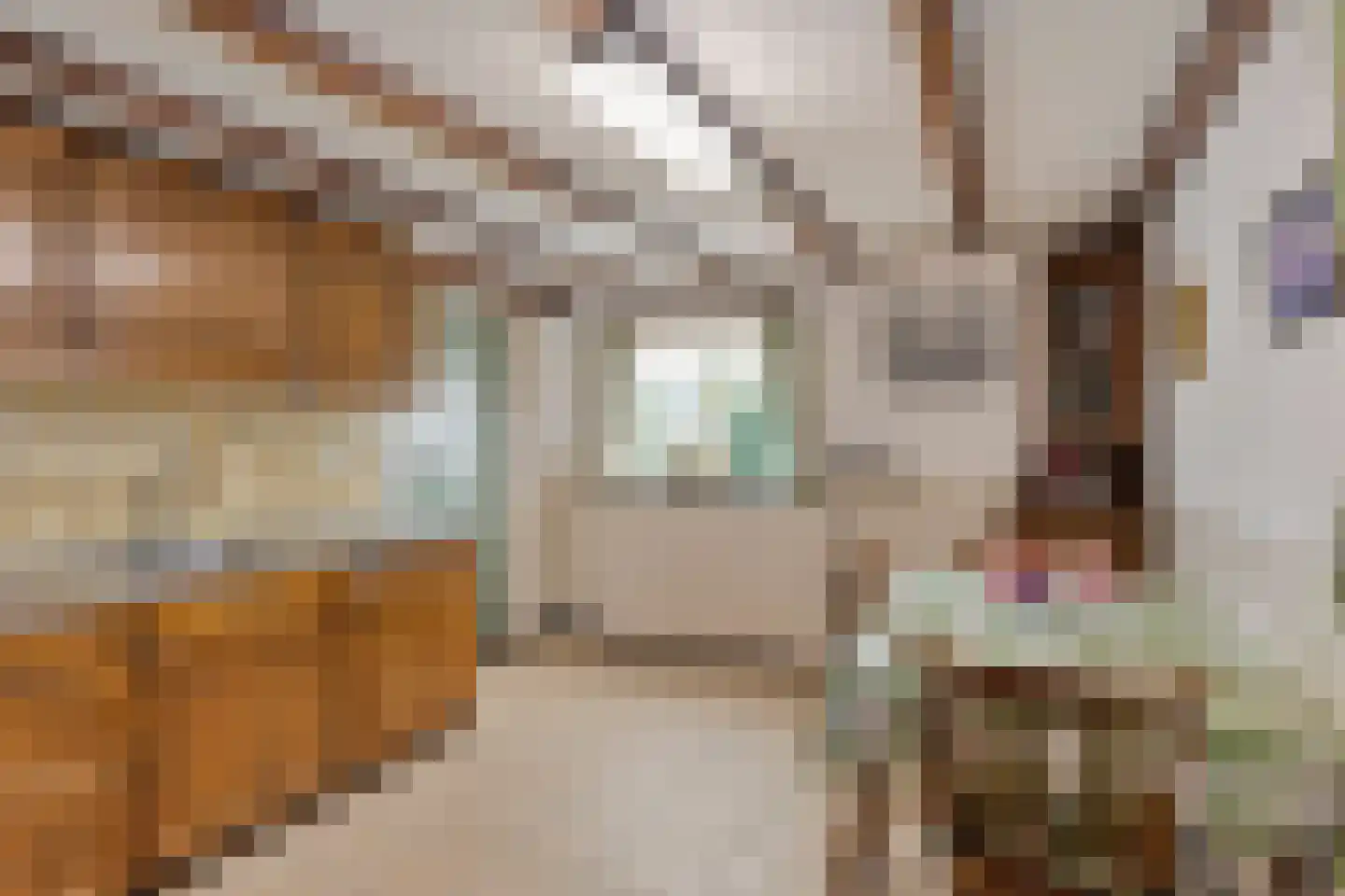 Bisschop van Mierlostraat 12 Mierlo thumbnail 6