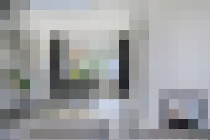 Bisschop van Mierlostraat 127 Mierlo thumbnail 12