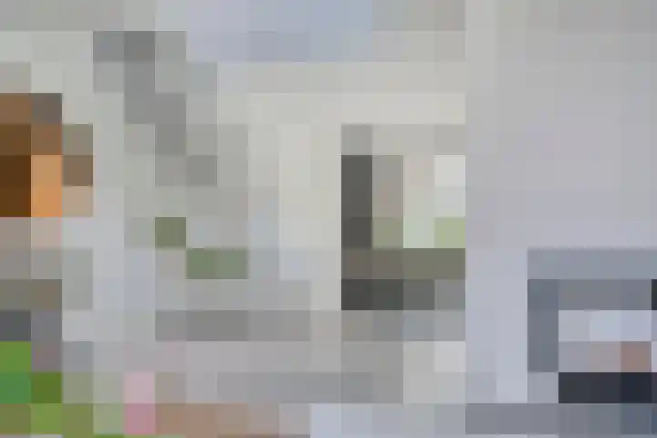 Bisschop van Mierlostraat 127 Mierlo thumbnail 13