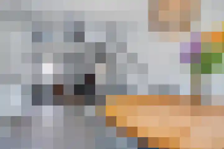 Bisschop van Mierlostraat 127 Mierlo thumbnail 15