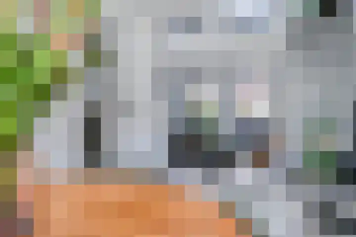 Bisschop van Mierlostraat 127 Mierlo thumbnail 16