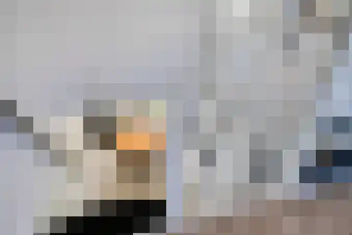 Bisschop van Mierlostraat 127 Mierlo thumbnail 26