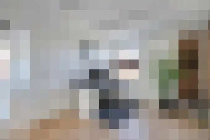 Bisschop van Mierlostraat 127 Mierlo thumbnail 29