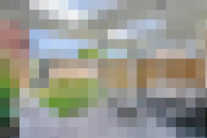 Bisschop van Mierlostraat 127 Mierlo thumbnail 38