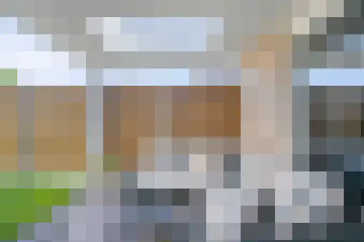 Bisschop van Mierlostraat 127 Mierlo thumbnail 39