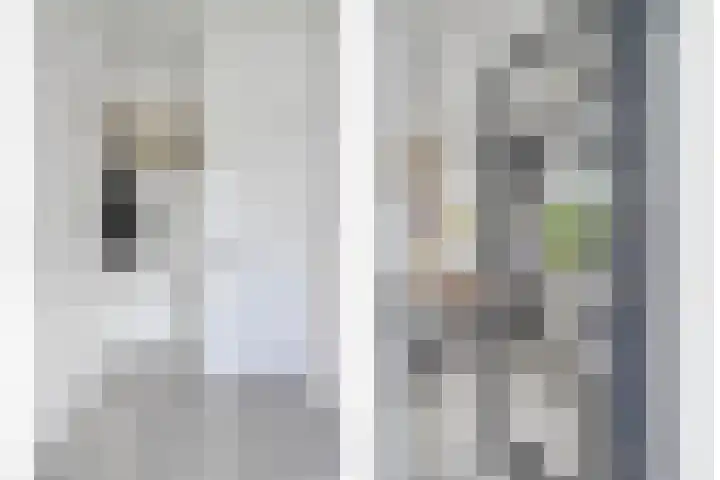 Bisschop van Mierlostraat 127 Mierlo thumbnail 4