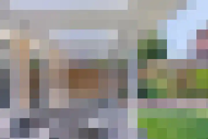 Bisschop van Mierlostraat 127 Mierlo thumbnail 41