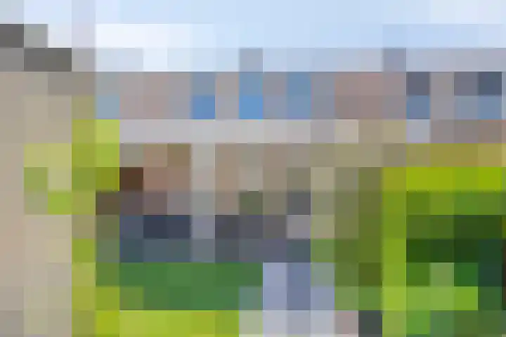 Bisschop van Mierlostraat 127 Mierlo thumbnail 42