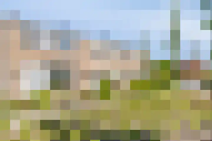 Bisschop van Mierlostraat 127 Mierlo thumbnail 43