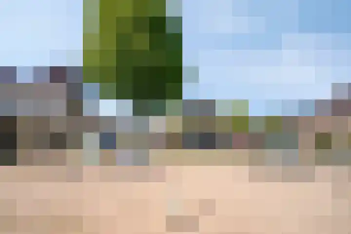 Bisschop van Mierlostraat 127 Mierlo thumbnail 47
