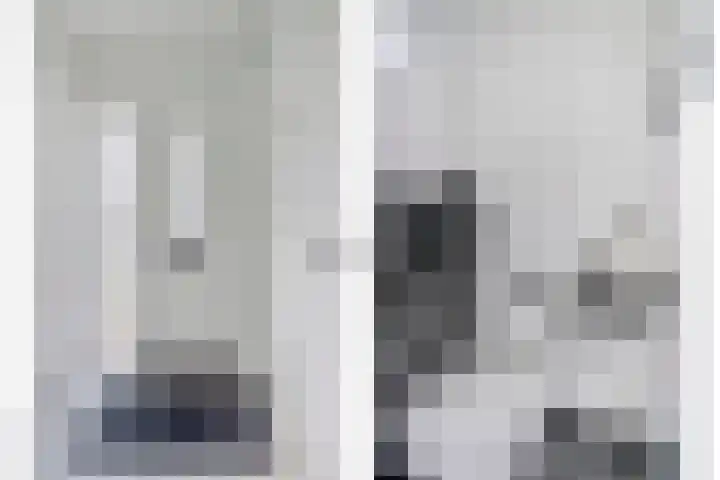 Bisschop van Mierlostraat 127 Mierlo thumbnail 5