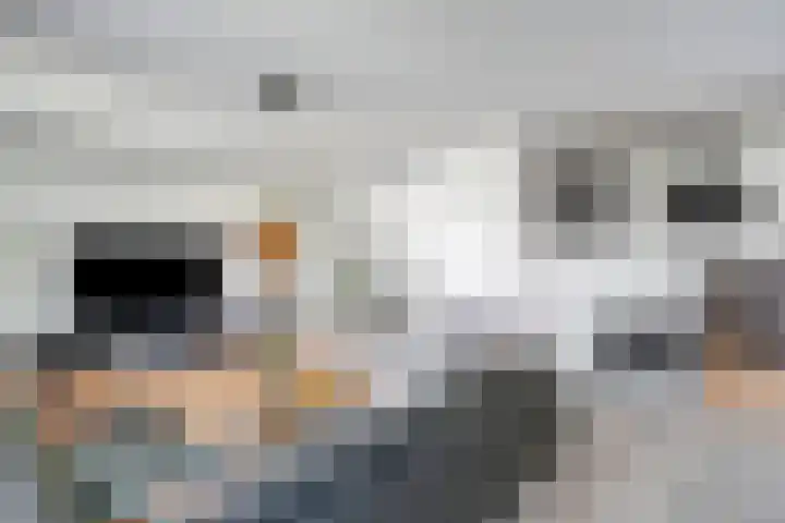 Bisschop van Mierlostraat 127 Mierlo thumbnail 6