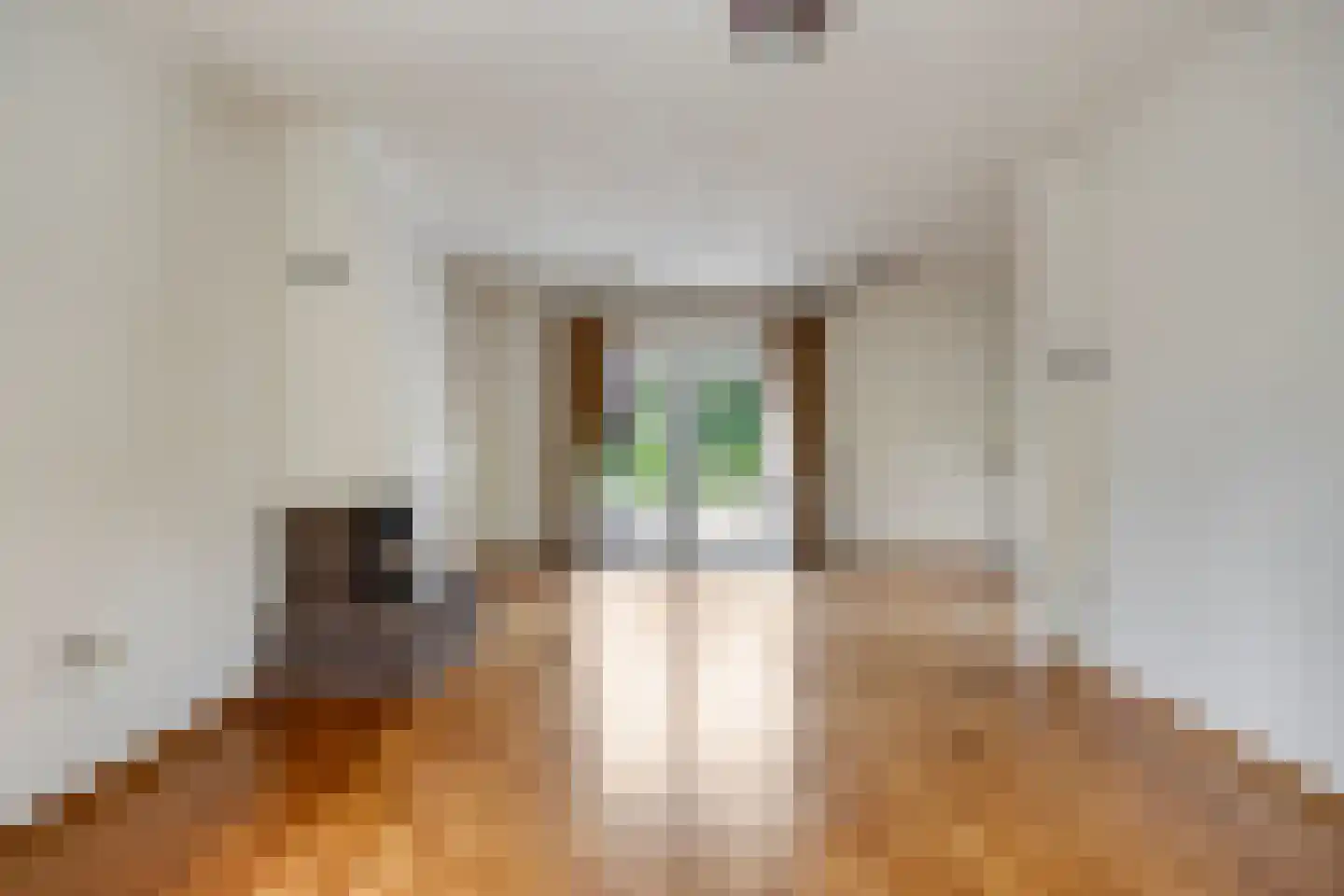 Bisschop van Mierlostraat 3 Mierlo thumbnail 16