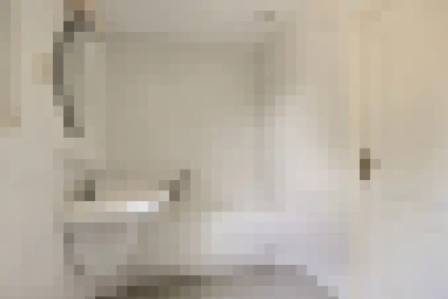 Bisschop van Mierlostraat 3 Mierlo thumbnail 27