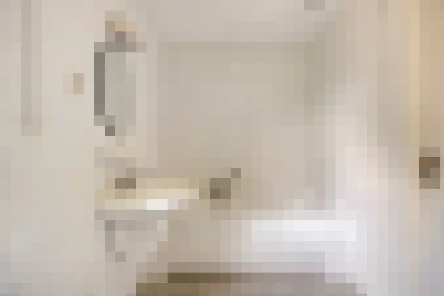 Bisschop van Mierlostraat 3 Mierlo thumbnail 28