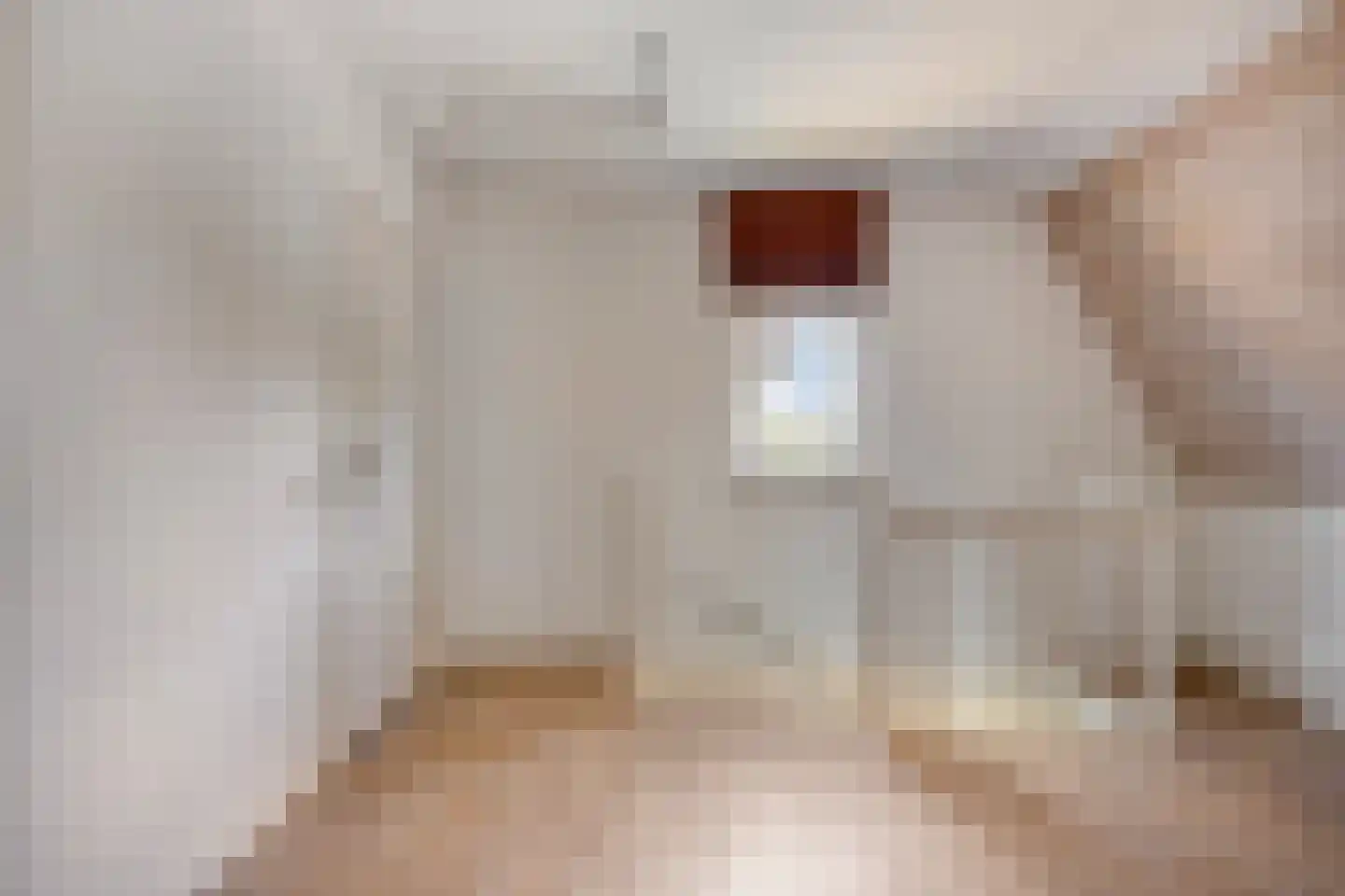 Bisschop van Mierlostraat 3 Mierlo thumbnail 31