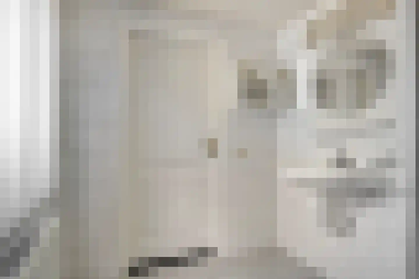 Bisschop van Mierlostraat 3 Mierlo thumbnail 38