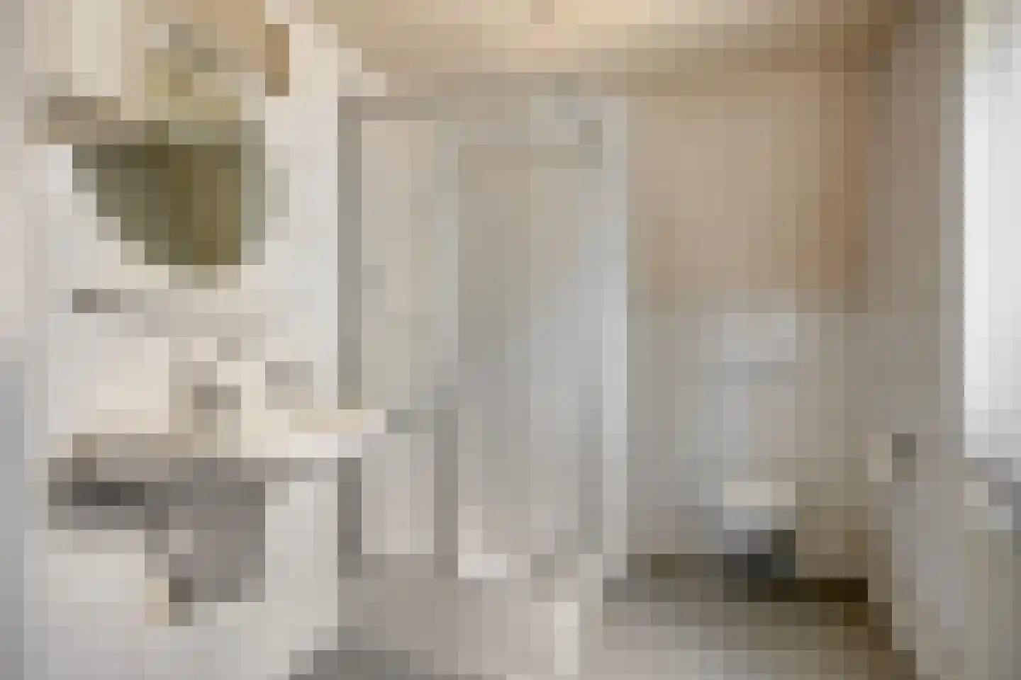 Bisschop van Mierlostraat 3 Mierlo thumbnail 40