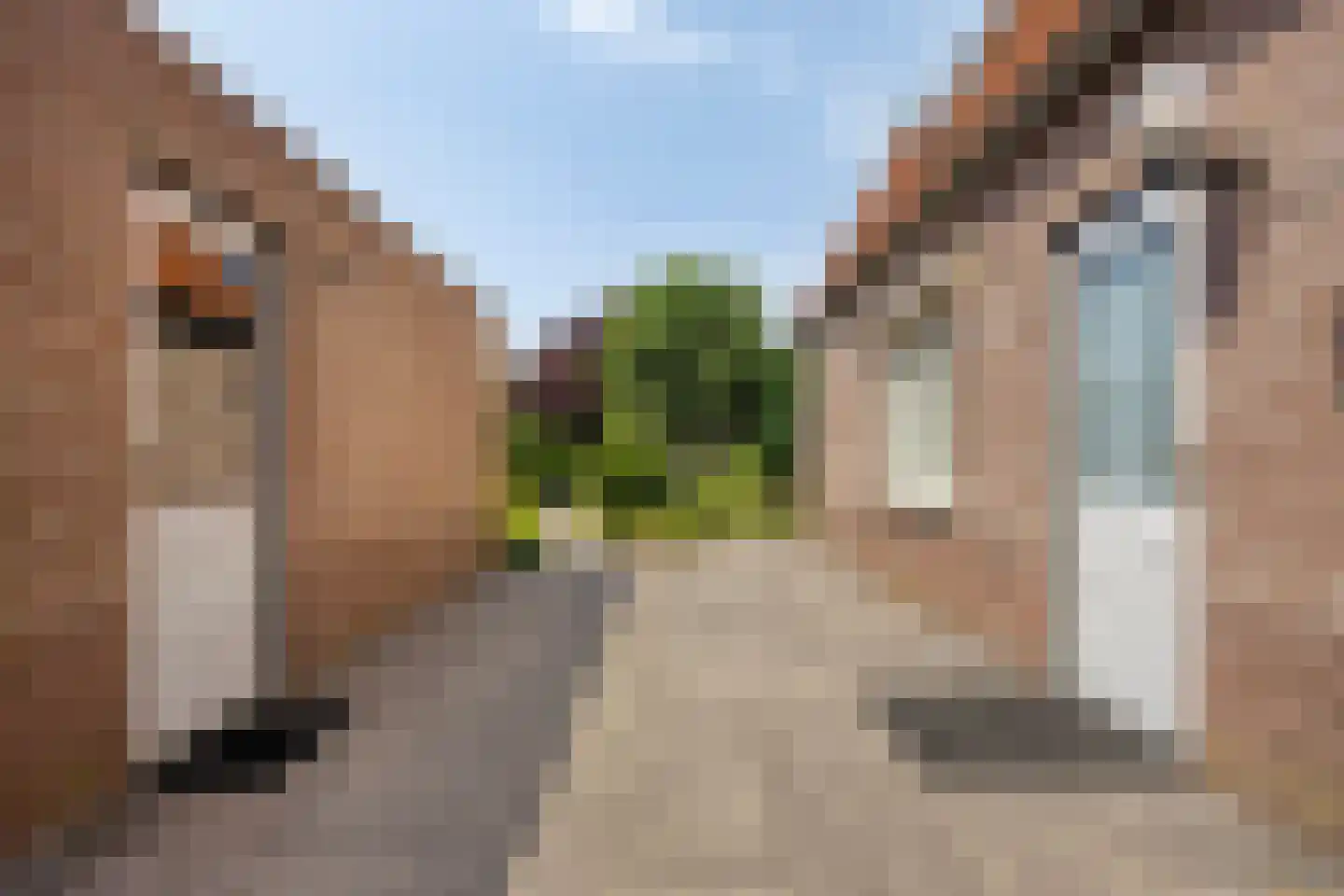 Bisschop van Mierlostraat 3 Mierlo thumbnail 41