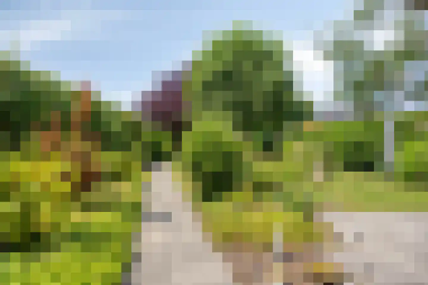 Bisschop van Mierlostraat 3 Mierlo thumbnail 48