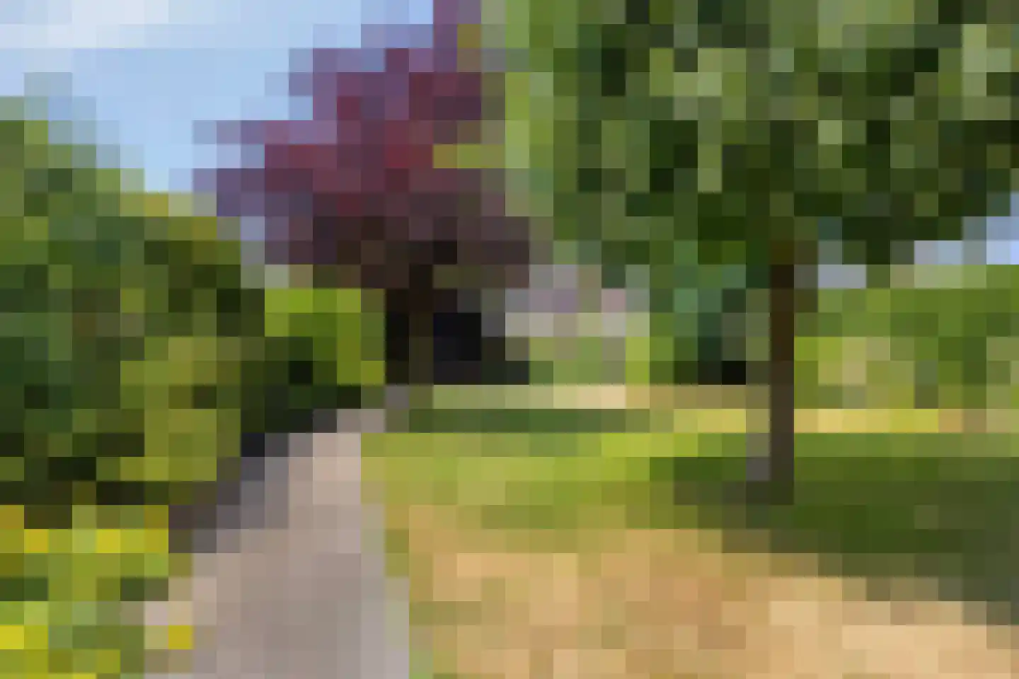 Bisschop van Mierlostraat 3 Mierlo thumbnail 49